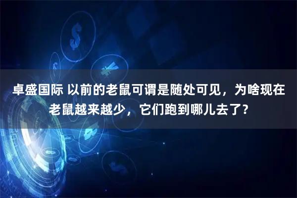卓盛国际 以前的老鼠可谓是随处可见，为啥现在老鼠越来越少，它们跑到哪儿去了？