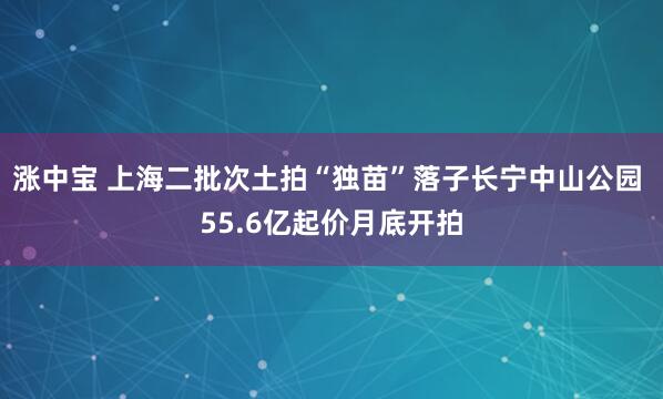 涨中宝 上海二批次土拍“独苗”落子长宁中山公园 55.6亿起价月底开拍