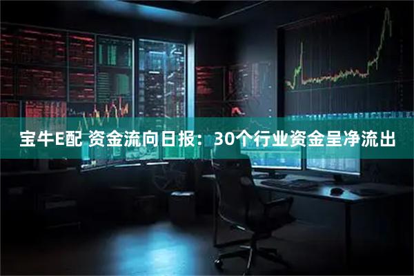 宝牛E配 资金流向日报：30个行业资金呈净流出