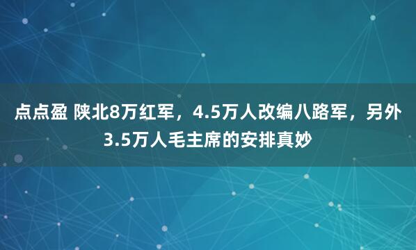点点盈 陕北8万红军，4.5万人改编八路军，另外3.5万人毛主席的安排真妙