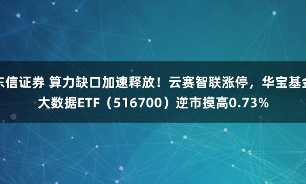 东信证券 算力缺口加速释放！云赛智联涨停，华宝基金大数据ETF（516700）逆市摸高0.73%