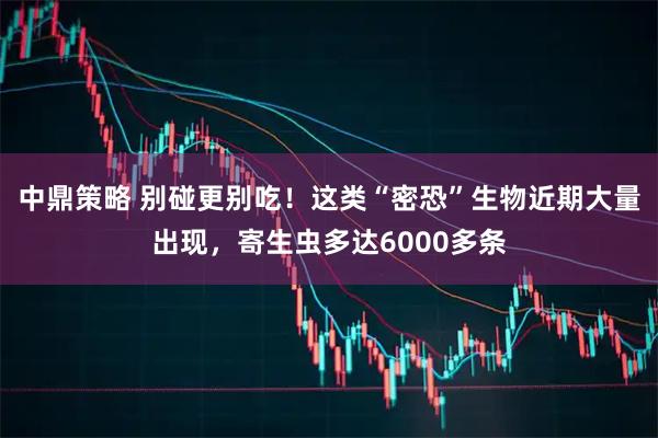 中鼎策略 别碰更别吃！这类“密恐”生物近期大量出现，寄生虫多达6000多条