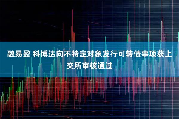 融易盈 科博达向不特定对象发行可转债事项获上交所审核通过