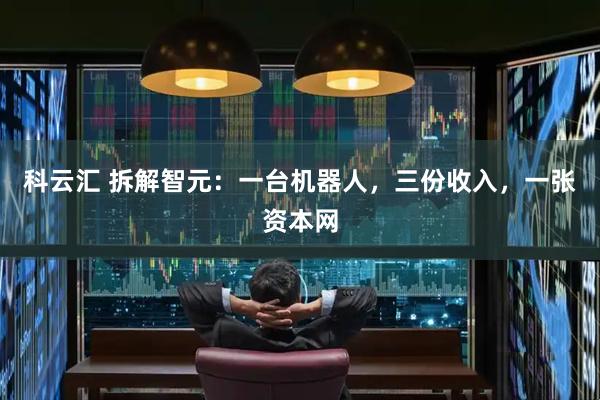 科云汇 拆解智元：一台机器人，三份收入，一张资本网